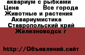 аквариум с рыбками › Цена ­ 1 000 - Все города Животные и растения » Аквариумистика   . Ставропольский край,Железноводск г.